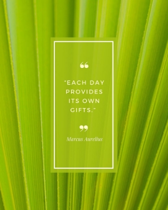 Picture of MARCUS AURELIUS QUOTE: EACH DAY