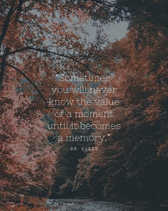 Picture of DR. SUESS QUOTE: VALUE OF A MOMENT