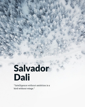 Picture of SALVADOR DALI QUOTE: AMBITION