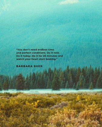Picture of BARBARA SHER QUOTE: PERFECT CONDITIONS