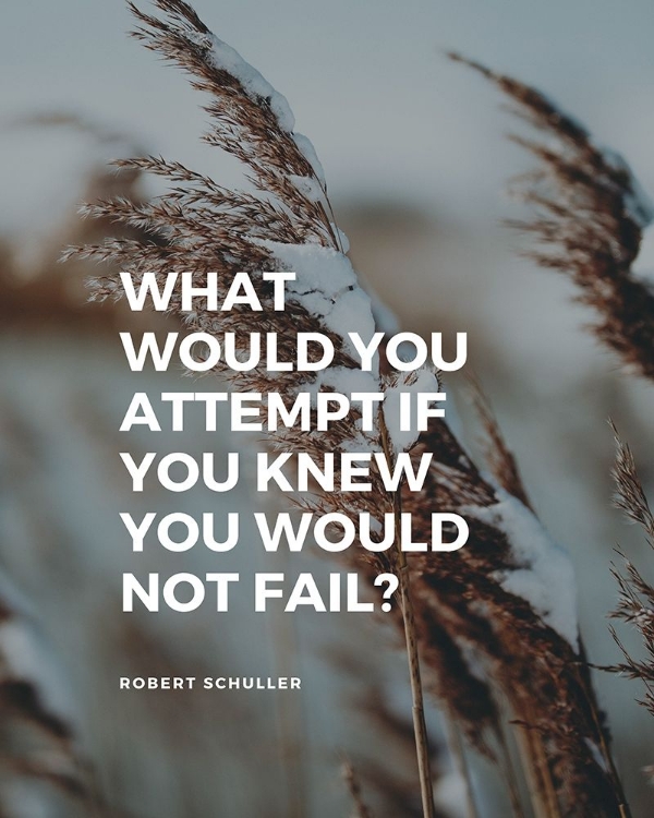 Picture of ROBERT SCHULLER QUOTE: WHAT WOULD YOU