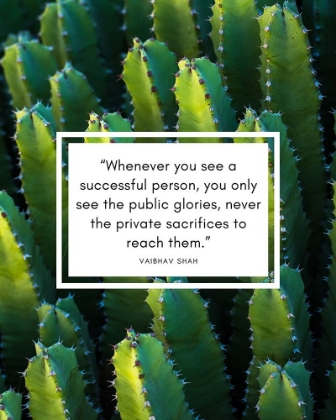 Picture of VAIBHAV SHAH QUOTE: PUBLIC GLORIES