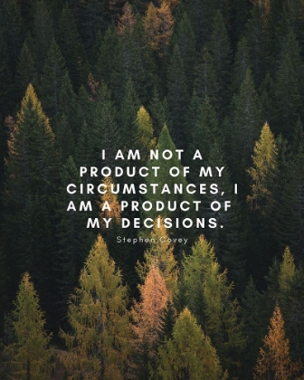 Picture of STEPHEN COVEY QUOTE: MY DECISIONS