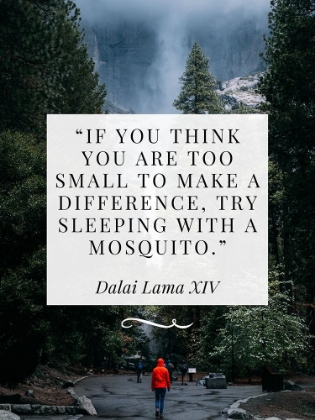 Picture of DALAI LAMA QUOTE: MAKE A DIFFERENCE