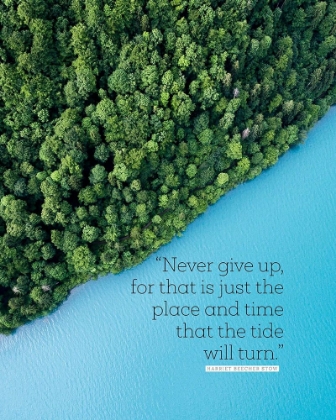 Picture of HARRIET BEECHER STOW QUOTE: NEVER GIVE UP