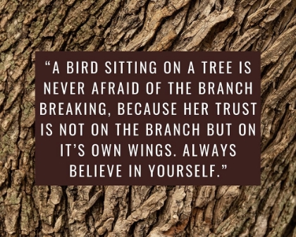 Picture of ARTSY QUOTES QUOTE: BRANCH BREAKING