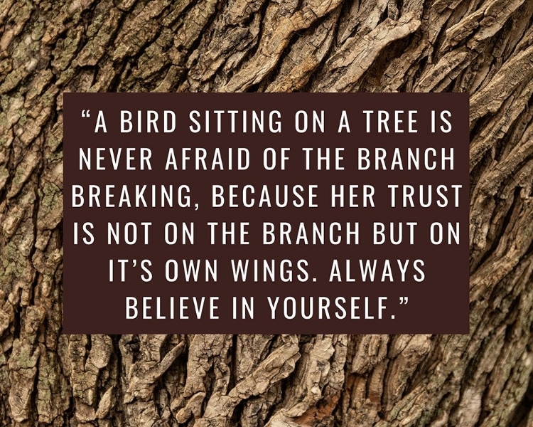Picture of ARTSY QUOTES QUOTE: BRANCH BREAKING