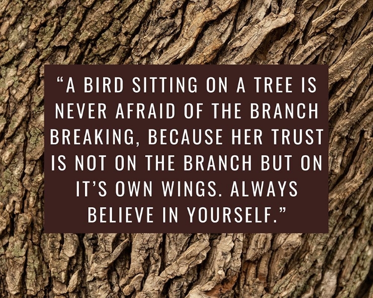 Picture of ARTSY QUOTES QUOTE: BRANCH BREAKING