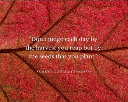 Picture of ROBERT LOUIS STEVENSON QUOTE: DONT JUDGE EACH DAY