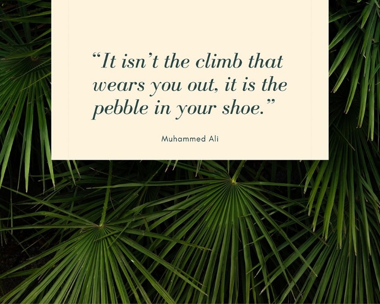 Picture of MUHAMMAD ALI QUOTE: THE PEBBLE IN YOUR SHOE