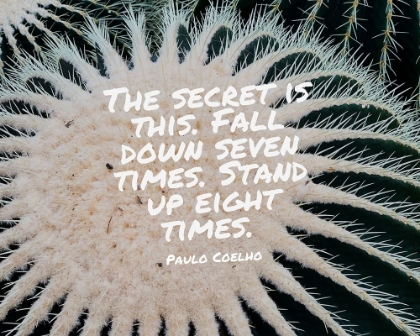 Picture of PAULO COELHO QUOTE: THE SECRET