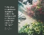 Picture of BRENE BROWN QUOTE: BRAVE ENOUGH