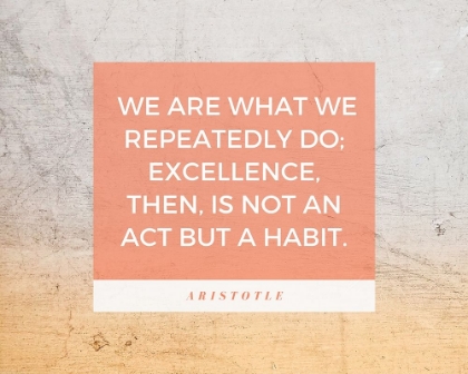 Picture of ARISTOTLE QUOTE: EXCELLENCE