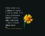 Picture of GEORG CHRISTOPH LICHTENBERG QUOTE: REAL GENIUSES