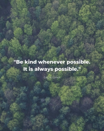 Picture of DALAI LAMA QUOTE: BE KIND