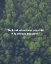 Picture of DALAI LAMA QUOTE: BE KIND
