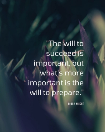 Picture of BOBBY KNIGHT QUOTE: THE WILL TO SUCCEED