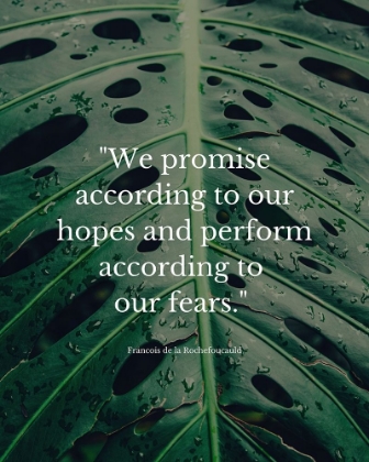 Picture of FRANCOIS DE LA ROCHEFOUCAULD QUOTE: WE PROMISE