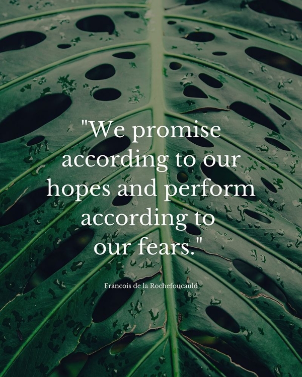 Picture of FRANCOIS DE LA ROCHEFOUCAULD QUOTE: WE PROMISE