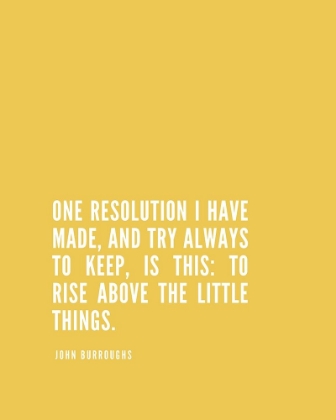 Picture of JOHN BURROUGHS QUOTE: ONE RESOLUTION