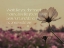 Picture of UNKNOWN AUTHOR QUOTE: WORK, LOVE AND DANCE