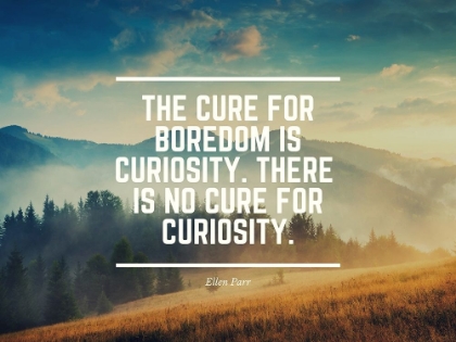 Picture of ELLEN PARR QUOTE: BOREDOM IS CURIOSITY