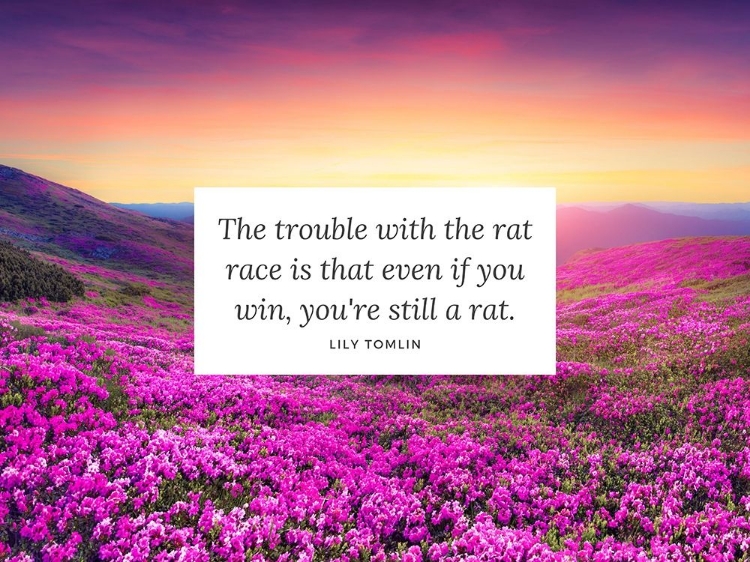 Picture of LILY TOMLIN QUOTE: THE RAT RACE