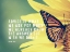 Picture of ERICA JONG QUOTE: ADVICE