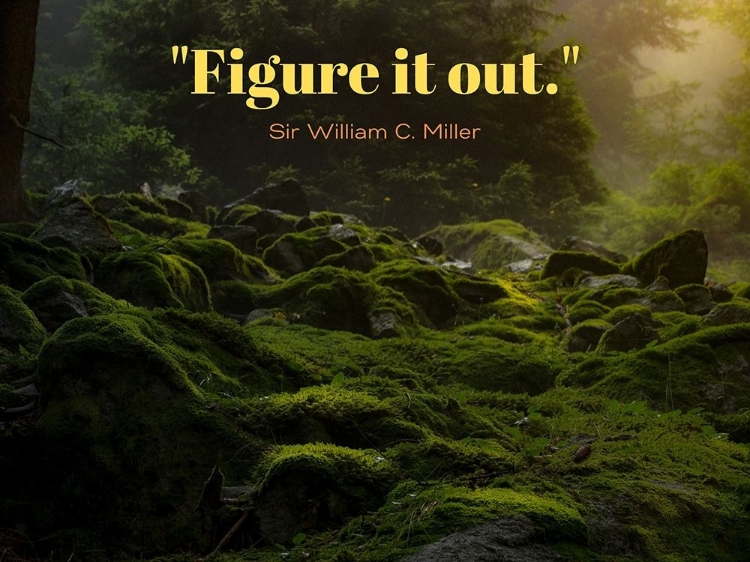 Picture of SIR WILLIAM C. MILLER QUOTE: FIGURE IT OUT