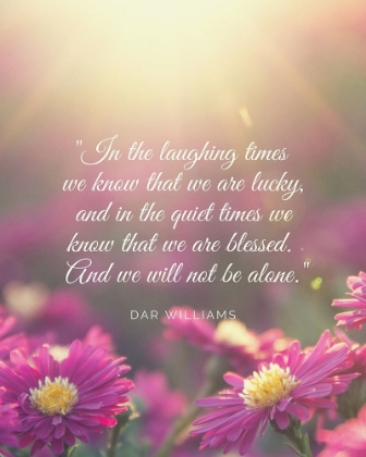 Picture of DAR WILLIAMS QUOTE: LAUGHING TIMES