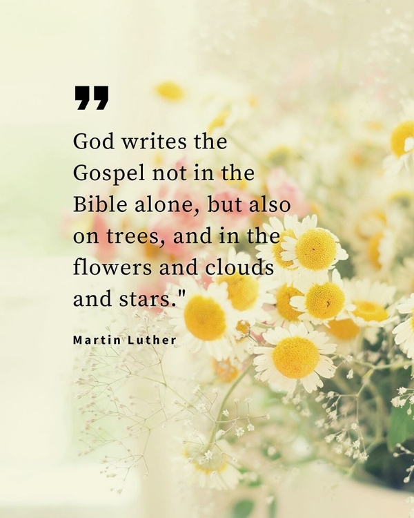Picture of MARTIN LUTHER QUOTE: GOD WRITES
