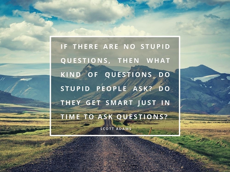 Picture of SCOTT ADAMS QUOTE: NO STUPID QUESTIONS