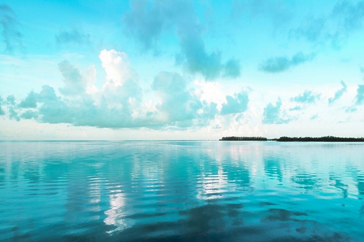 Picture of BISCAYNE BAY