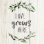 Picture of LOVE GROWS HERE