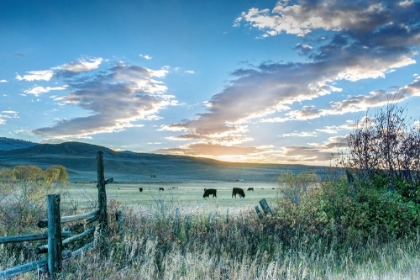 Picture of RANCH SUNRISE