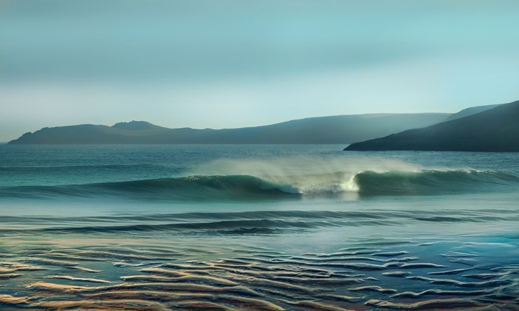 Picture of WAVES MEET