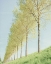 Picture of ENDLESS