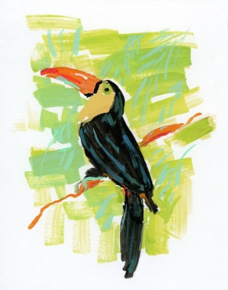 Picture of EXOTIC TOUCAN