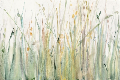 Picture of SPRING GRASSES I