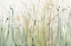 Picture of SPRING GRASSES I