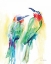 Picture of TROPICAL BIRDS