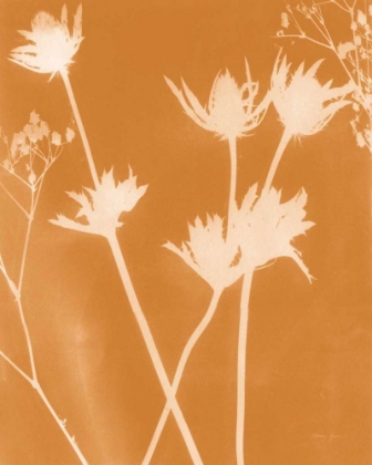 Picture of ENCHANTED FALL CYANOTYPE I