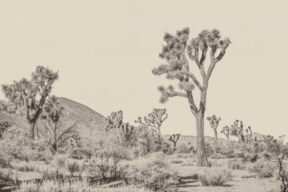 Picture of JOSHUA TREE II NEUTRAL