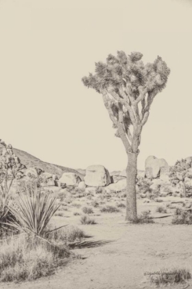 Picture of JOSHUA TREE III NEUTRAL