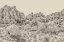 Picture of JOSHUA TREE V NEUTRAL