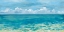 Picture of CARIBBEAN SEA REFLECTIONS