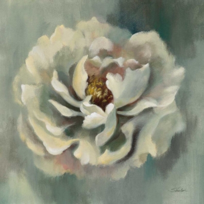 Picture of DANCING PETALS