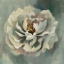 Picture of DANCING PETALS