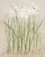 Picture of NARCISSUS LIGHT