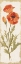 Picture of POPPY PANEL LIGHT